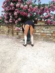 Mon cul de salope - Photo #8