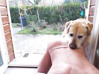 avec mon mâle - Photo #5