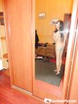 Hot teen shows her body in the mirror - Photo #53