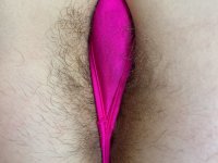 Petite babe Rosalyn Sphinx shows off her hairy love holes up close - Photo #6