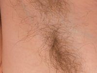 Amateur model with hairy pits and snatch poses nude in a backyard - Photo #2